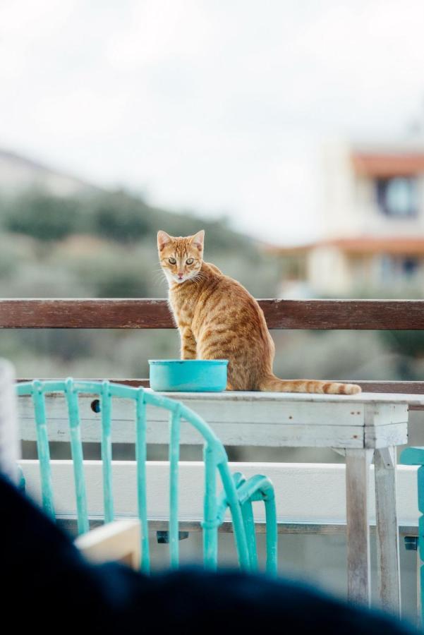 Saveriako, Paradise For Relaxed Free Spirits Vila Agia Pelagia  Exterior foto