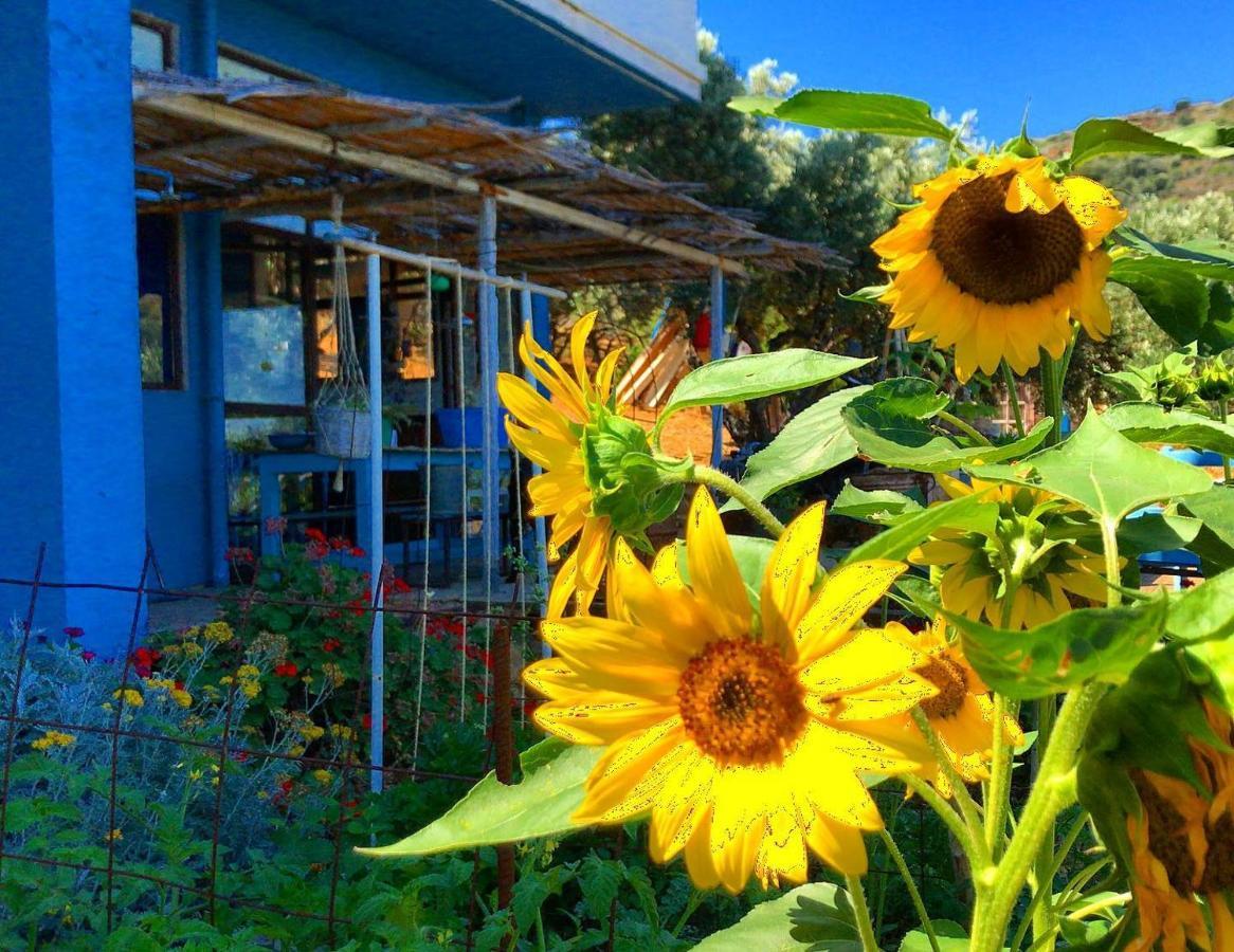 Saveriako, Paradise For Relaxed Free Spirits Vila Agia Pelagia  Exterior foto